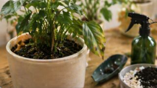 Troubleshooting / トラブル対応